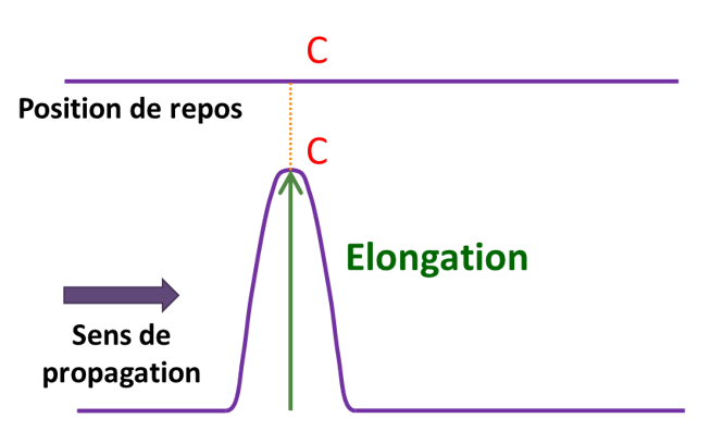 Elongation d'une onde
