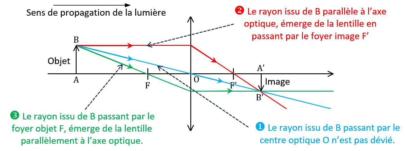 Construction de l'image d'un objet